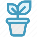 business growth, investment, leaf, office, plant, plant pot