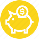 coin, dollar, money, pig, piggy bank, saving