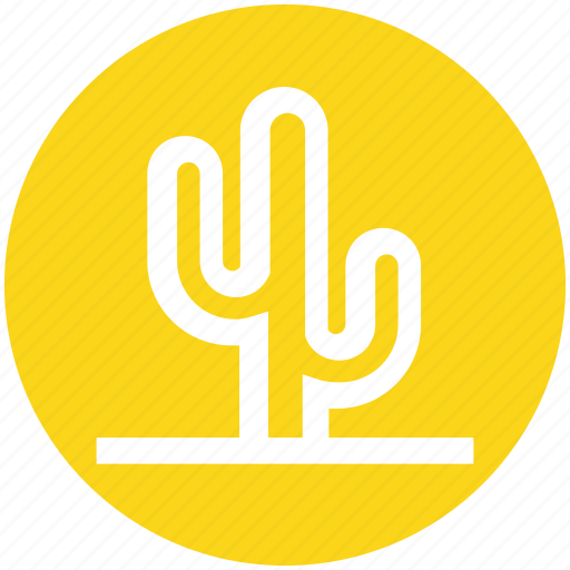 Cactus, desert, eco, flowerpot, nature, plant, pot icon - Download on Iconfinder