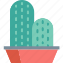 cactus, plant, nature