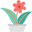 flowerpot, plant, nature 