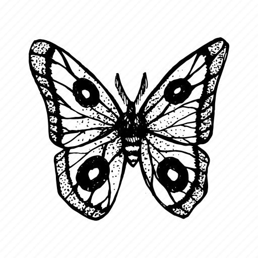 Butterfly, doodle, insect, sketch, fly, beauty, wing icon - Download on Iconfinder