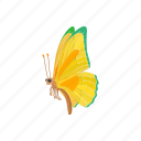 beauty, butterfly, cartoon, insect, nature, sign, wing 
