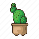 cactus, plant, cacti, tree, garden, leaf