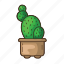 cactus, plant, cacti, tree, garden, leaf 