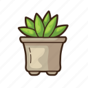 cactus, plant, tree, cacti, garden, succulent
