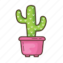 cactus, plant, tree, cacti, succulent, garden, nature