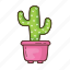 cactus, plant, tree, cacti, succulent, garden, nature 