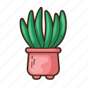 cactus, plant, tree, green, cacti, succulent, garden