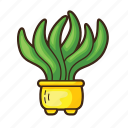 cactus, plant, tree, pot, succulent, garden, cacti