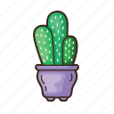 cactus, plant, tree, pot, cacti, succulent, garden, nature