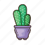cactus, plant, tree, pot, cacti, succulent, garden, nature 