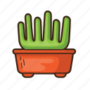 cactus, plant, tree, cacti, succulent, desert, nature