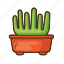 cactus, plant, tree, cacti, succulent, desert, nature 