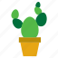 botanical, cacti, cactus, plant, pot, potted, succulent 