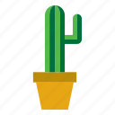 botanical, cacti, cactus, plant, pot, potted, succulent