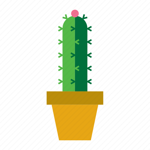Botanical, cacti, cactus, plant, pot, potted, succulent icon - Download on Iconfinder