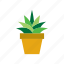 botanical, cacti, cactus, plant, pot, potted, succulent 