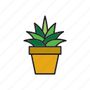 botanical, cacti, cactus, flowerpot, plant, pot, succulent