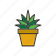 botanical, cacti, cactus, flowerpot, plant, pot, succulent 