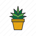 botanical, cacti, cactus, flowerpot, plant, pot, succulent