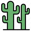 cactus, succulent, botanical, plant, tree, green, desert