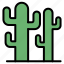 cactus, succulent, botanical, plant, tree, green, desert 