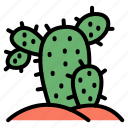 cactus, succulent, botanical, plant, thorn, land, desert