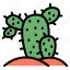 cactus, succulent, botanical, plant, thorn, land, desert 