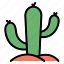 cactus, succulent, botanical, plant, thorn, desert, land