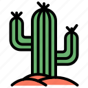cactus, botanical, plant, thorn, succulent, desert, land