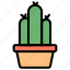 cactus, pot, garden, botanical, plant, thorn, succulent 