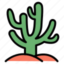 cactus, succulent, botanical, plant, land, desert, green