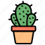 cactus, succulent, pot, garden, botanical, plant, thorn 