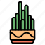 cactus, succulent, pot, garden, botanical, plant, green 