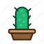 cactus, plant, nature, flower 