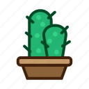 cactus, plant, nature, flower