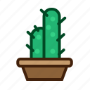 cactus, plant, nature, flower