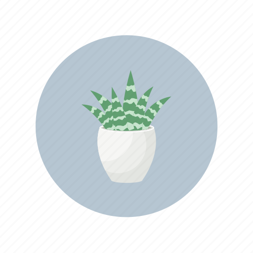 Cactus, desert, plant, succulent icon - Download on Iconfinder