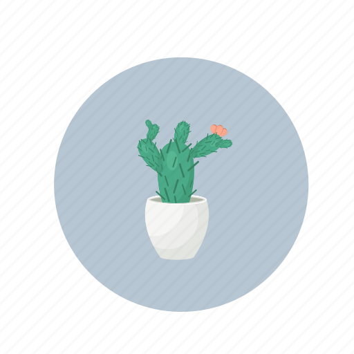 Cactus, nature, pot, succulent icon - Download on Iconfinder