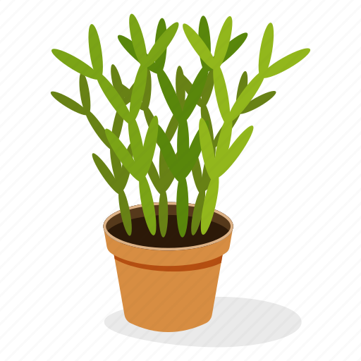 Ecology, ginger plant, houseplant decoration, indoor plant, ornamental plant, potted plant icon - Download on Iconfinder