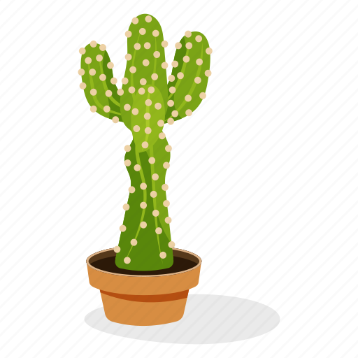 Astrophytum plant, ecology, houseplant decoration, indoor plant, ornamental plant, potted plant icon - Download on Iconfinder