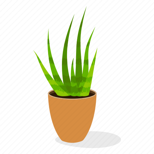 Ecology, houseplant decoration, indoor plant, ornamental plant, potted plant, wild plant icon - Download on Iconfinder