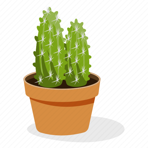 Ecology, houseplant decoration, indoor plant, mammillaria plant, ornamental plant, potted plant icon - Download on Iconfinder