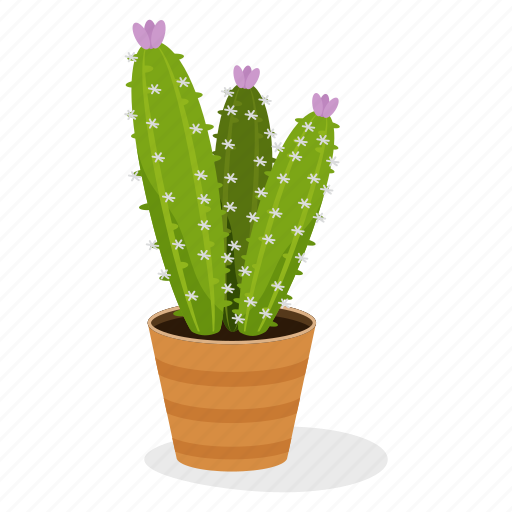 Ecology, houseplant decoration, indoor plant, mammillaria plant, ornamental plant, potted plant icon - Download on Iconfinder