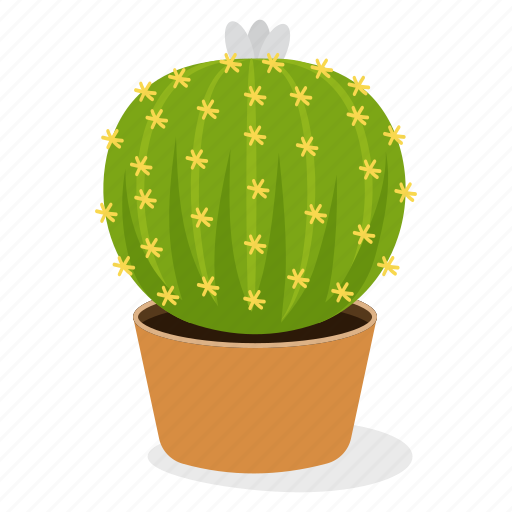 Echinocereus plant, ecology, houseplant decoration, indoor plant, ornamental plant, potted plant icon - Download on Iconfinder