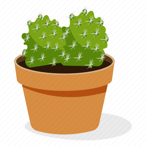 Ball cactus plant, ecology, houseplant decoration, indoor plant, ornamental plant, potted plant icon - Download on Iconfinder