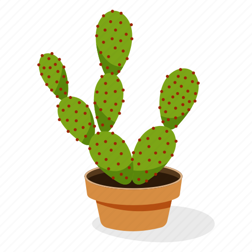 Ecology, houseplant decoration, indoor plant, opuntia plant, ornamental plant, potted plant icon - Download on Iconfinder