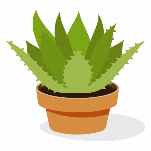 Ecology, gasteria plant, houseplant decoration, indoor plant, ornamental plant, potted plant icon - Download on Iconfinder