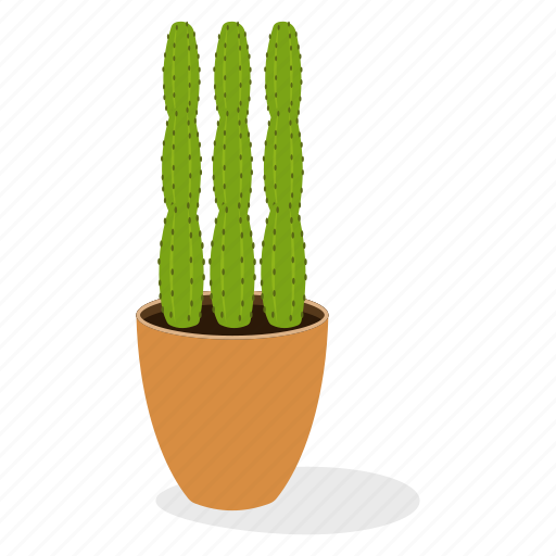 Ecology, houseplant decoration, indoor plant, ornamental plant, potted plant, wild plant icon - Download on Iconfinder